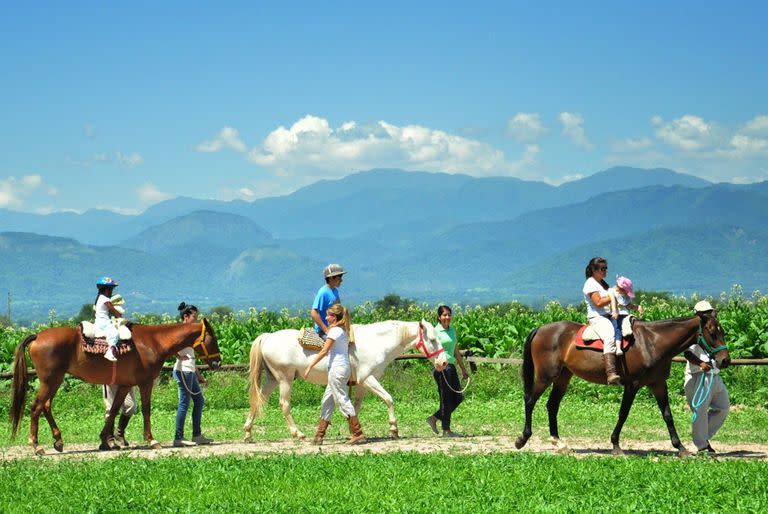 El equipo de la fundación Equinoterapia del Azul, en una sesión al aire libre