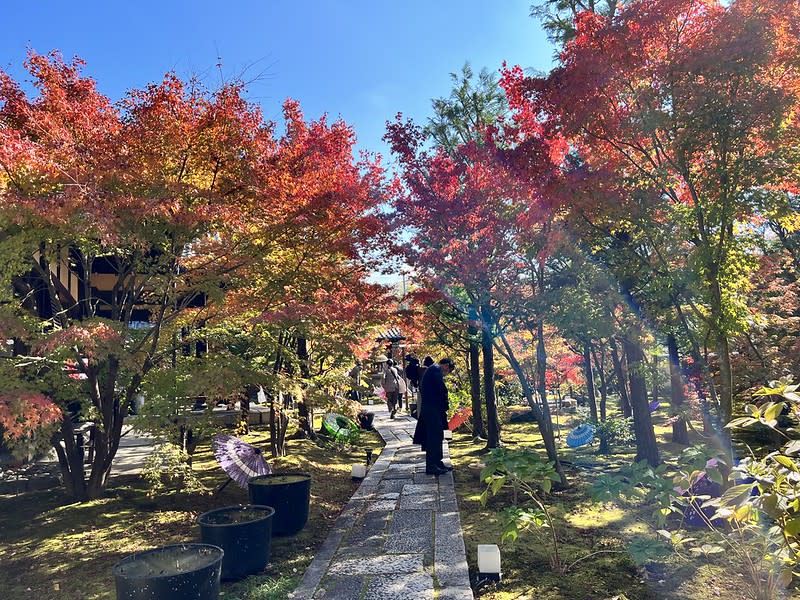 日本京都｜勝林寺