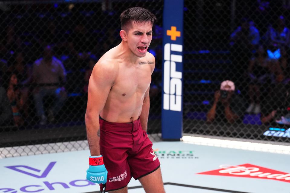 LAS VEGAS, NEVADA - AUGUST 13: Jose Delgado reacts after his knockout victory against Ernie Juarez in a featherweight fight during Dana White's Contender Series season eight, week one on August 13, 2024 in Las Vegas, Nevada. (Photo by Chris Unger/Zuffa LLC)