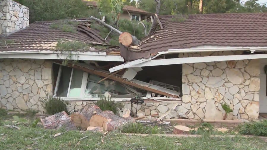 A tree came down onto a home after roaring winds swept through parts of Southern California. Crews assessed the damage on March 15, 2024. (KTLA)