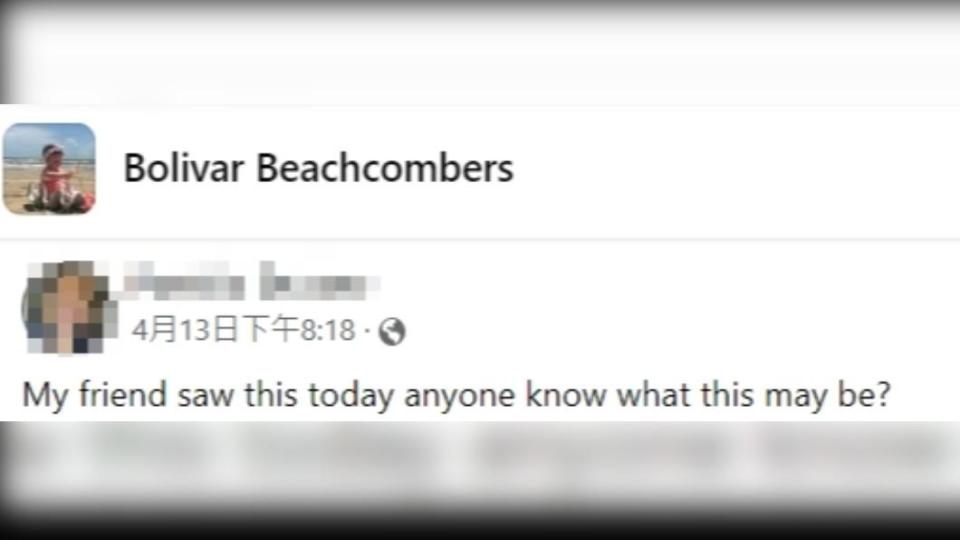 網友透露，朋友於玻利瓦爾半島的沙灘上發現這生物。（圖／翻攝自Bolivar Beachcombers臉書）