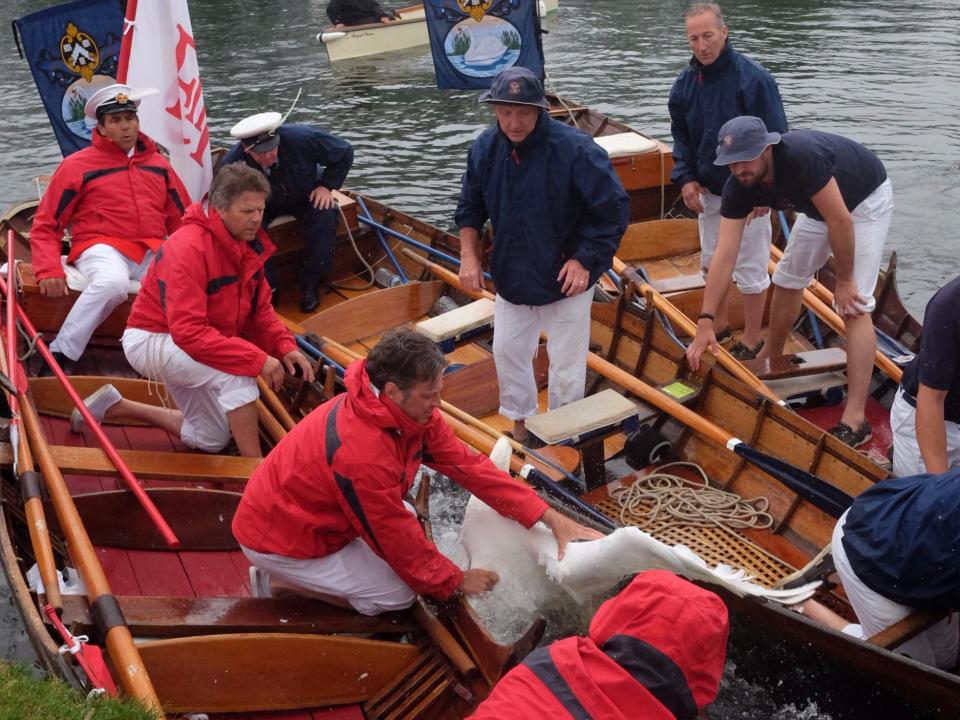 swan upping