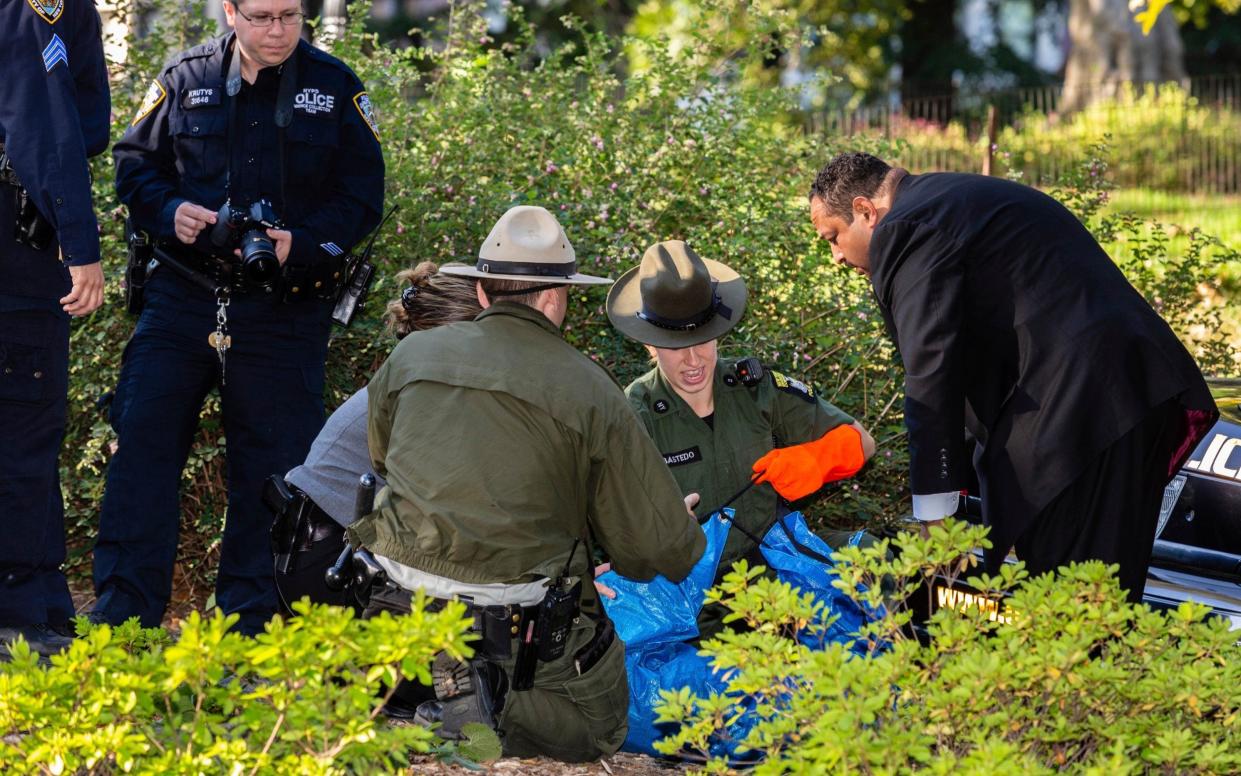 New York Police and New York State Environmental Conservation officers handle the body of bear cub that found dead under bushes in Central Park