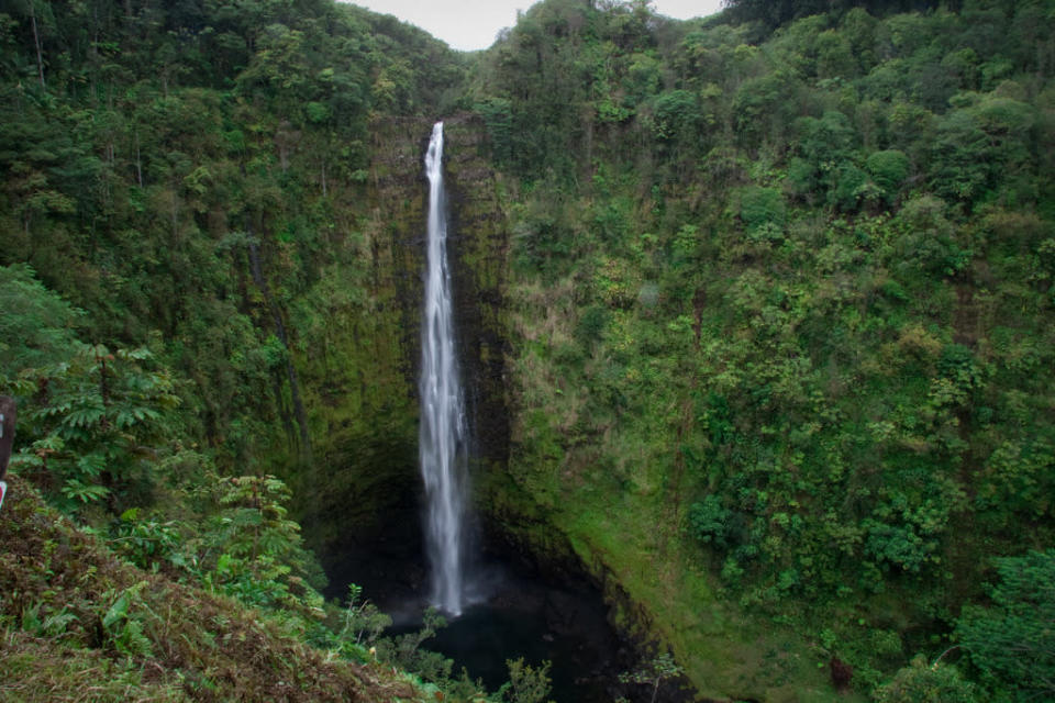 Hawaii: Akaka Falls State Park, Honomu