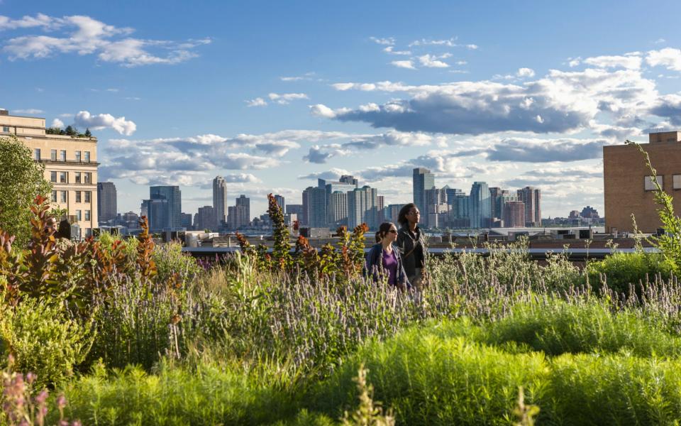 The High Line has become a thick green mane across the city - Corbis