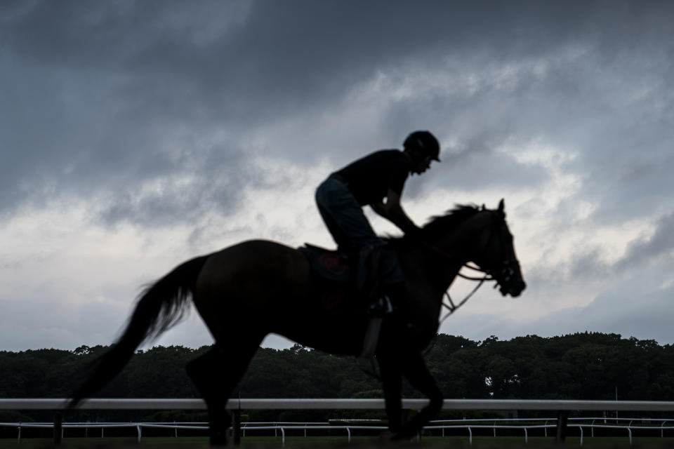 A horse trains before the 154th running of the Belmont Stakes horse race, early Wednesday, June 8, 2022, in Elmont, N.Y. (AP Photo/John Minchillo)