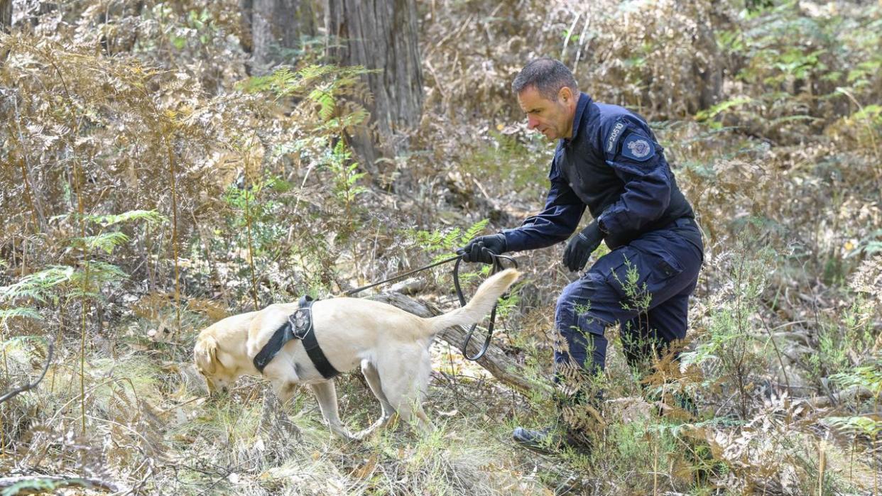 The search continues to find a missing mum’s body. Picture: Joe Armao/ POOL/ NCA NewsWire