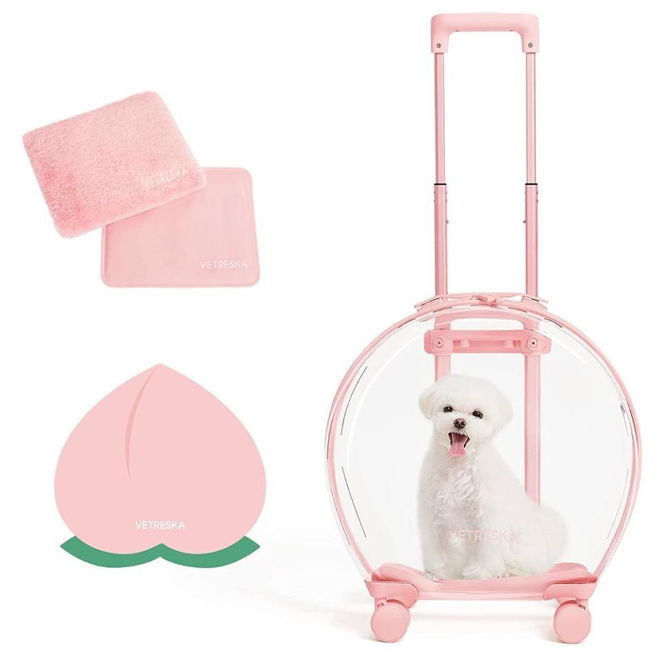 27) Pet Carrier Trolley