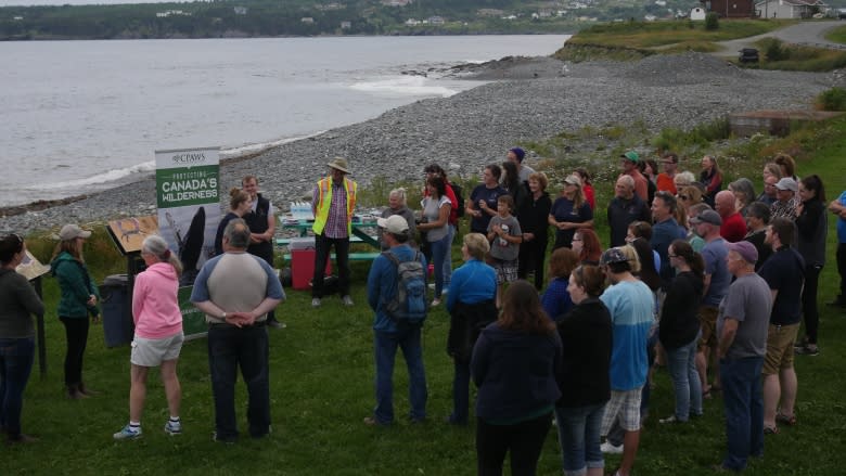 Puffin & Petrel Patrol pauses public participation