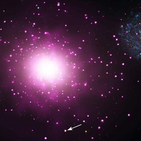 An arrow points to the super-compact galaxy M60-UCD1, the densest galaxy yet seen, in this composite view of images from NASA's Hubble Space Telescope and Chandra X-ray Observatory. At center is the galaxy M60 and its surrounding regions Chandr