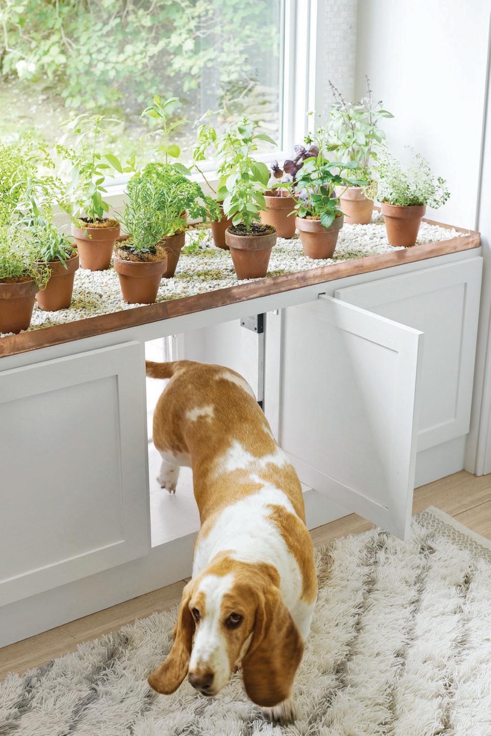 8 Stylish Pet Gates That Will Seamlessly Blend With Your Decor