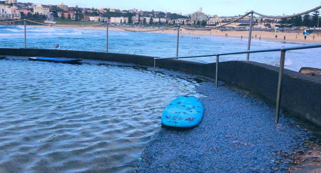 Bluebottles visit Sydney's beaches in droves: Why they arrive each summer