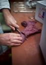 Peter Wisker cuts meat at his horse meat butchery in Haarlem in the Netherlands on February 13, 2013. Supermarkets in Belgium, Britain, Denmark, Ireland, Finland, France, Austria, Norway, The Netherlands, Germany, Italy, Spain, Portugal, Sweden and Slovenia have all removed meals from shelves over undeclared horsemeat content