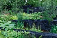 <p><strong>Category: </strong>Show Garden</p><p><strong>Awarded: Gold / Best Show Garden</strong></p><p>This woodland landscape with stone platforms and huge burnt timber sculptures representing natural rock formations, is inspired by nature’s power to regenerate.</p><p><a class="link " href="https://www.housebeautiful.com/uk/garden/a27537550/chelsea-flower-show-2019-best-garden-winners/" rel="nofollow noopener" target="_blank" data-ylk="slk:READ MORE;elm:context_link;itc:0;sec:content-canvas">READ MORE</a></p>