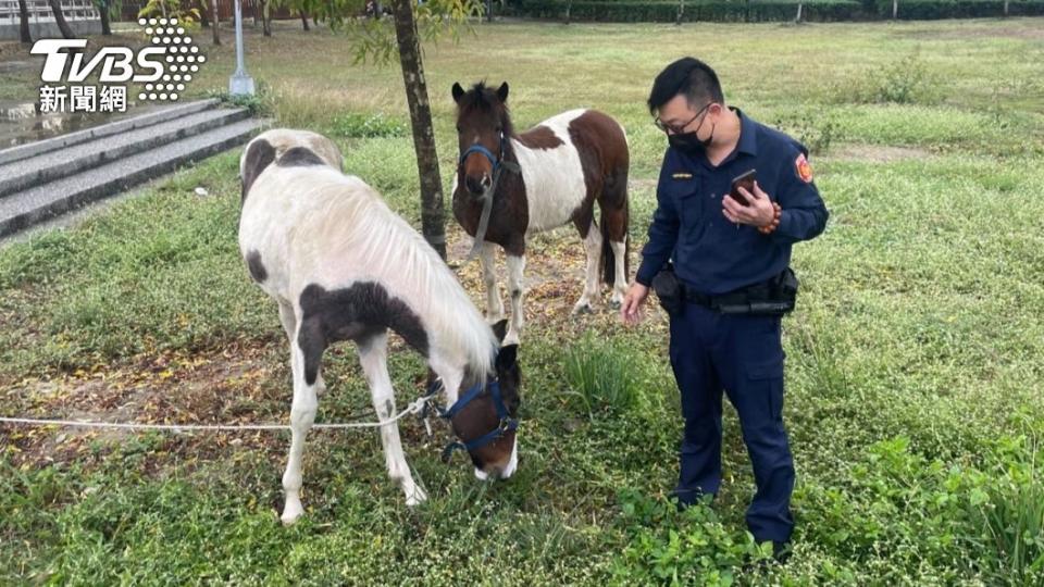 警方在大里區瑞城公園發現2匹馬正在悠閒吃草。（圖／警方提供）