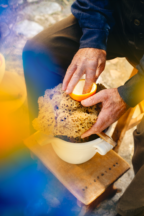 A moment of the "La Spugnatura" extraction technique.