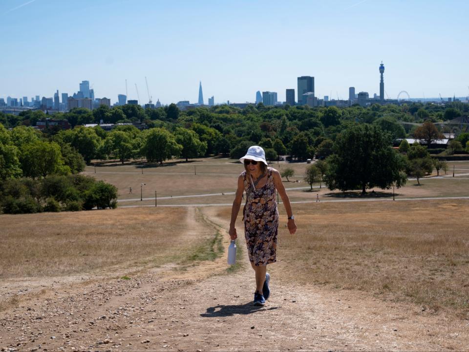 The grass at Primrose Hill in London is also dry due to lack of water (PA)