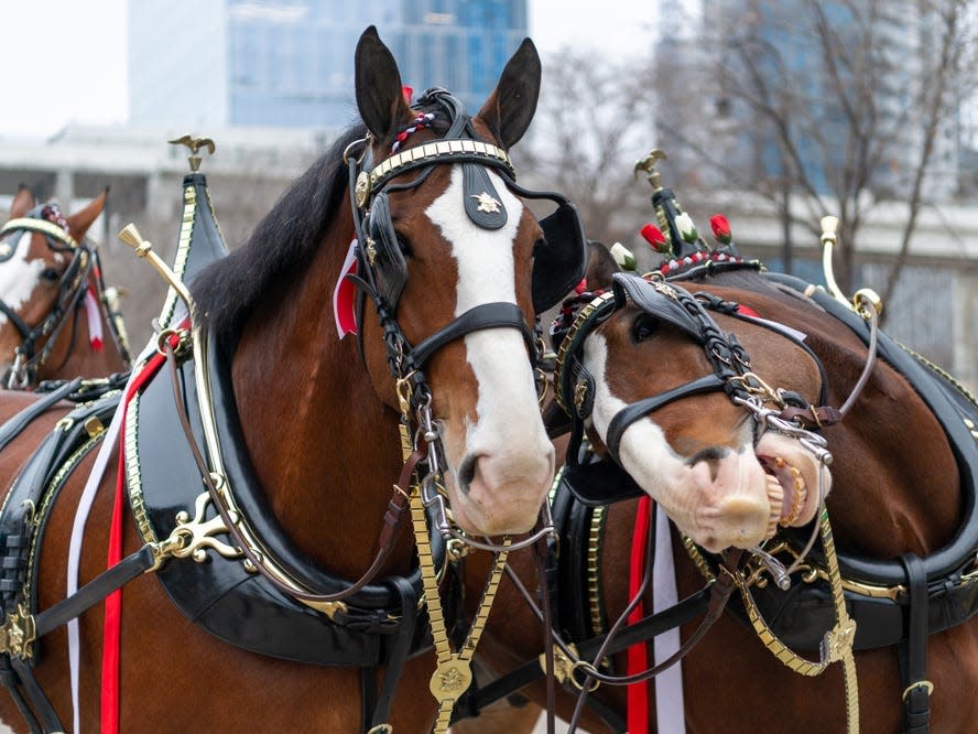 nashville christmas