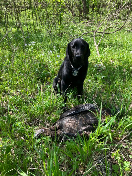 (Photo Courtesy/Kansas Department of Wildlife and Parks Game Wardens)