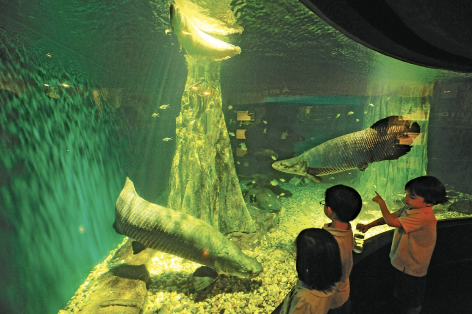 A photo of Aquaria KLCC. (PHOTO: Trip.com)