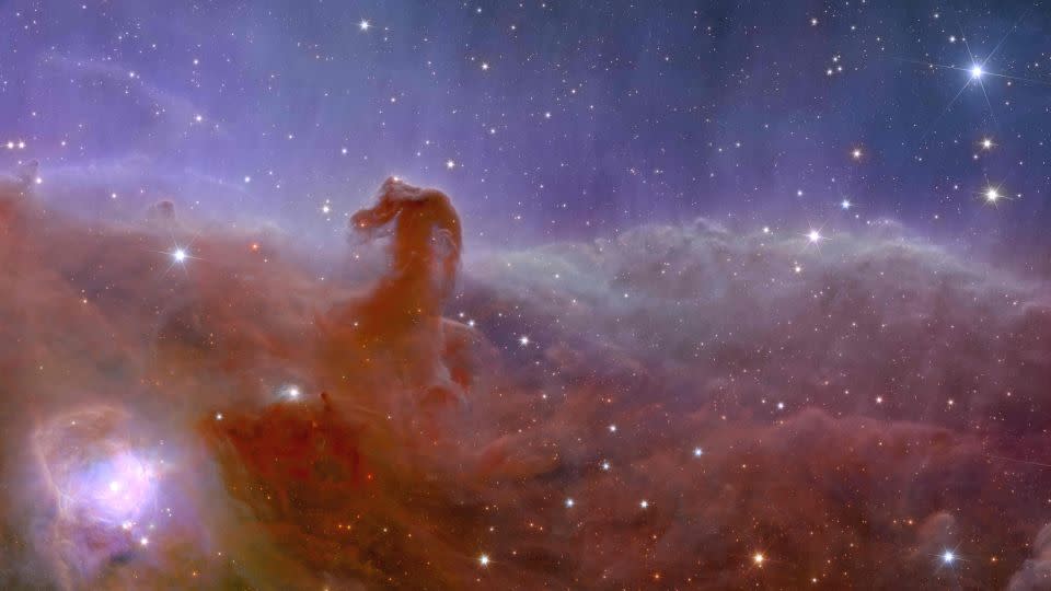 Newly formed stars shine in the Horsehead Nebula, a cloud of gas and dust in the Orion constellation. - ESA