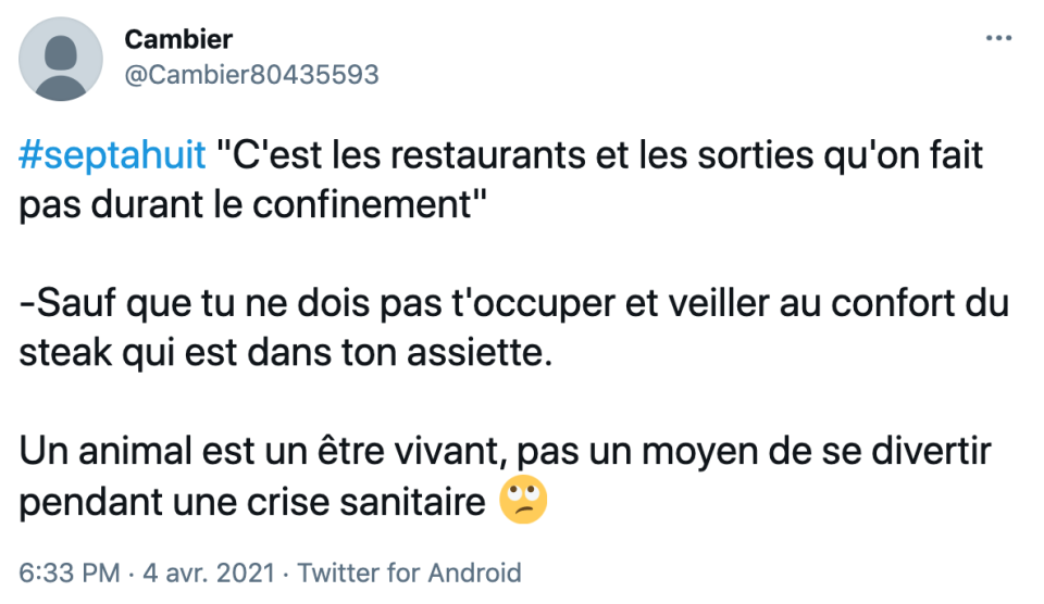 Un reportage sur les ventes de chiots pendant le confinement scandalise la Toile 