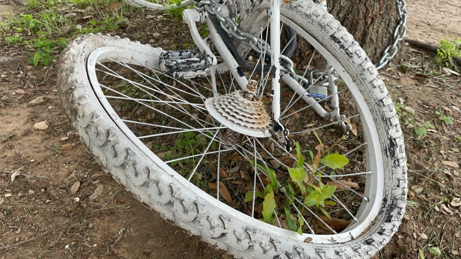 Merry “Cookie” Daye’s bike is one of several vandalized or stolen. (KXAN Photo/Kelsey Thompson)
