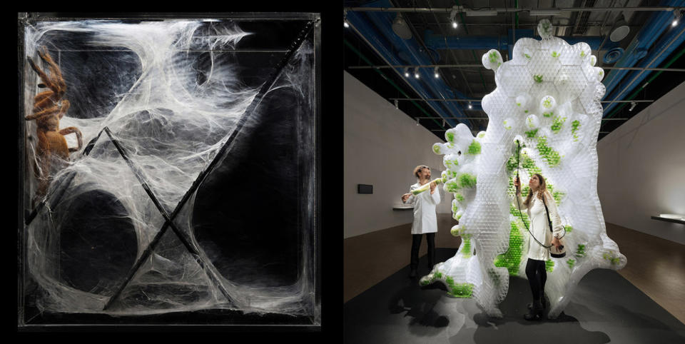 Two new works from the Factory of the Living exhibition at the Pompidou Centerin Paris show how digital technology is influencing art and biology