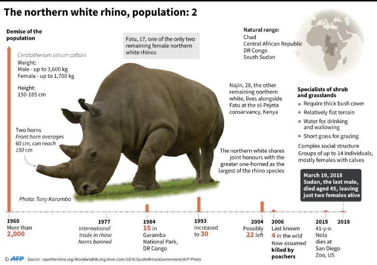 Factfile on the northern white rhino