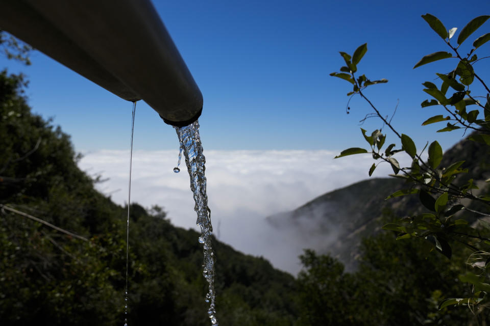 Spring water flows from a BlueTriton pipe in the San Bernardino National Forest on Monday, Sept. 18, 2023, in San Bernardino, Calif. As a part of their permit, the company is required to release a certain amount of spring water to serve wildlife in the area. The State Water Resources Control Board is expected to vote Tuesday on whether to issue a cease-and-desist order against BlueTriton, the company that produces the widely-known Arrowhead brand of bottled water. The order would prevent BlueTriton from drawing water from certain points in the San Bernardino National Forest. (AP Photo/Ashley Landis)