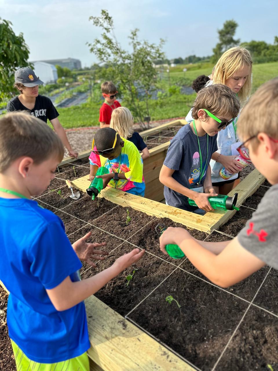 Square-foot gardening can be a useful tool for youth gardens.