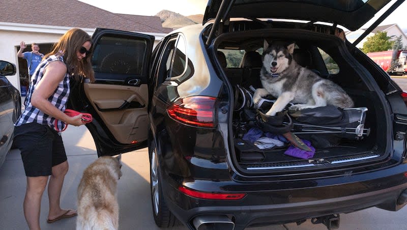 Lori Dalton rushes her dogs, Leo and Cooper, into her car moments after being notified to evacuate by Salt Lake City firefighters because of the encroaching flames from a wildfire burning around Ensign Peak in Salt Lake City on Saturday, July 20, 2024.