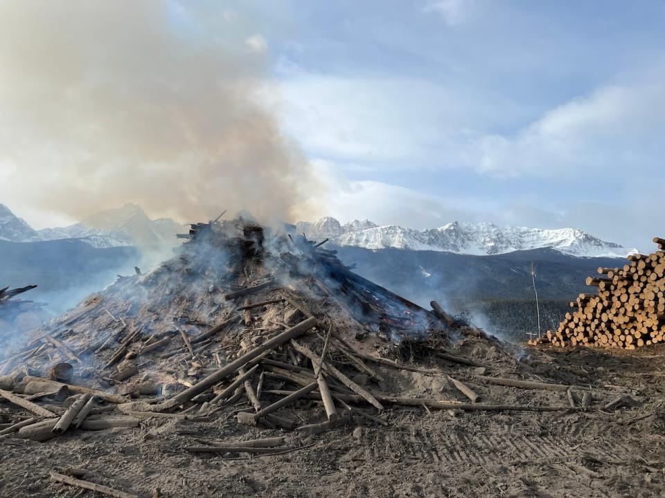 A pile of discarded wood burns next to logs cut from Protection Mountain. 