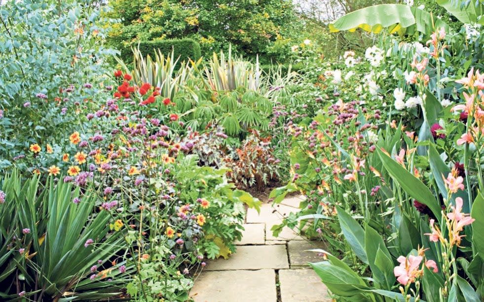 Totally tropical: The Exotic Garden, Great Dixter, shows how to do creative tropical planting - Alamy