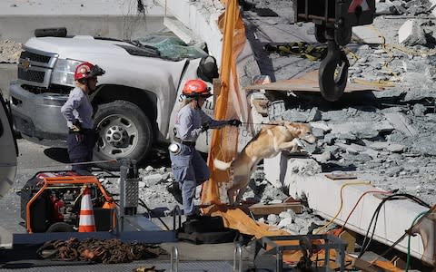  A rescue dog and its handler works at the scene to look for survivers  - Credit: Getty/Joe Raedle