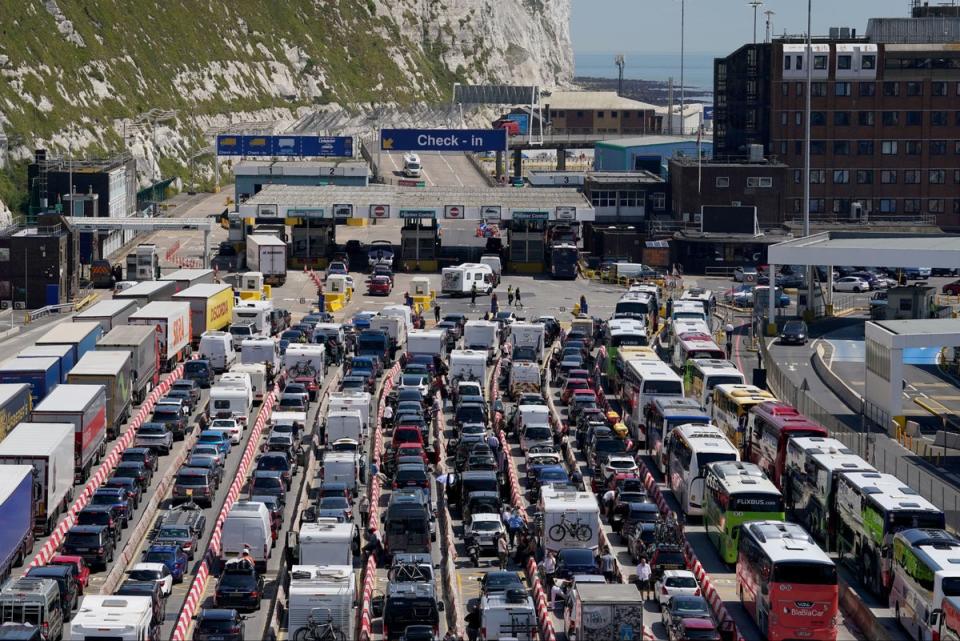 Waves of Brexit checks have cause delays and disruption at Port of Dover (PA)