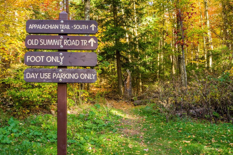 Information Wooden Signs at the Beginning of a Mountain Path. Mount Greylock, The Berkshires, MA.