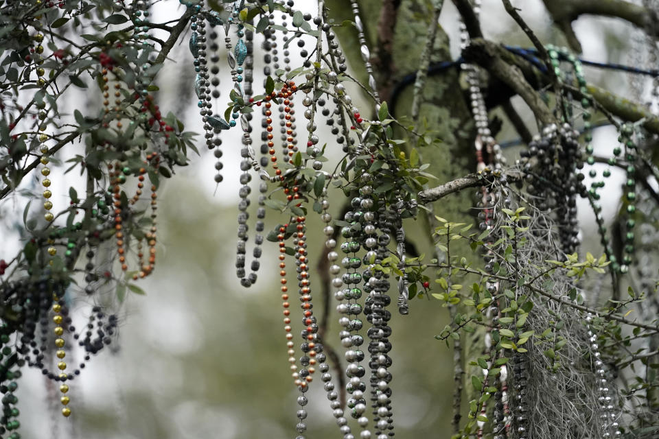 Mardi Gras beads thrown from Mardi Gras parades gone by, still hang from trees on St. Charles Ave. in New Orleans, Friday, Feb. 12, 2021. New Orleans' annual pre-Lenten Mardi Gras celebration is muted this year because of the coronavirus pandemic. Parades canceled. Bars closed. Crowds suppressed. Mardi Gras joy is muted this year in New Orleans as authorities seek to stifle the coronavirus's spread. And it's a blow to the tradition-bound city's party-loving soul. (AP Photo/Gerald Herbert)