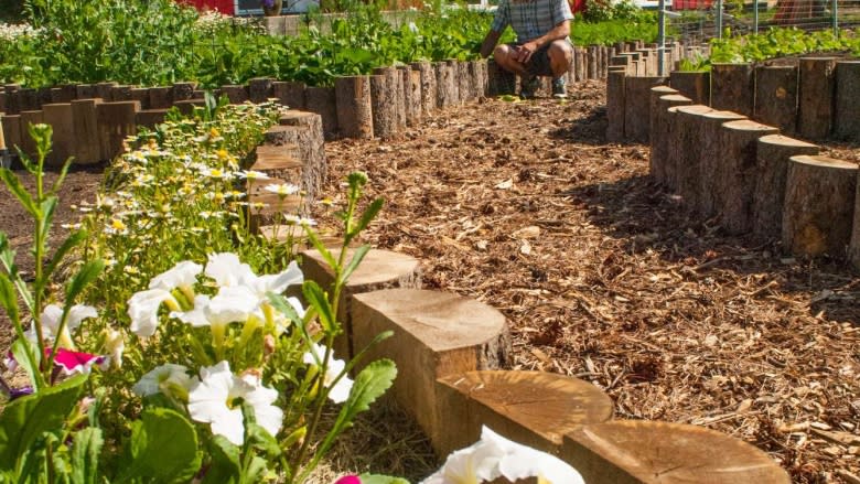 'It's essential': A Yukon green thumb lowers his carbon footprint