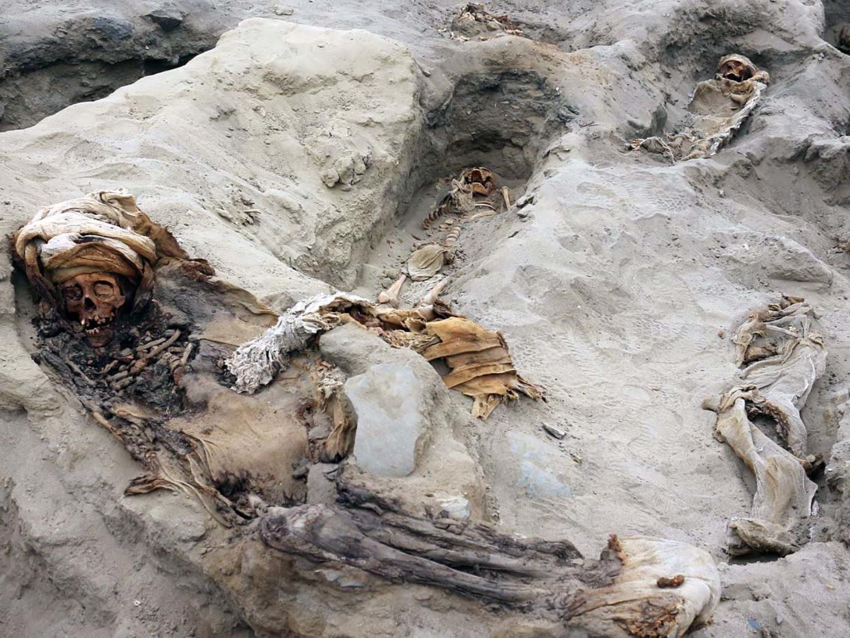 The remains of some 227 children allegedly offered in a sacrifice ritual by the pre-Columbian Chimu culture: AFP/Getty