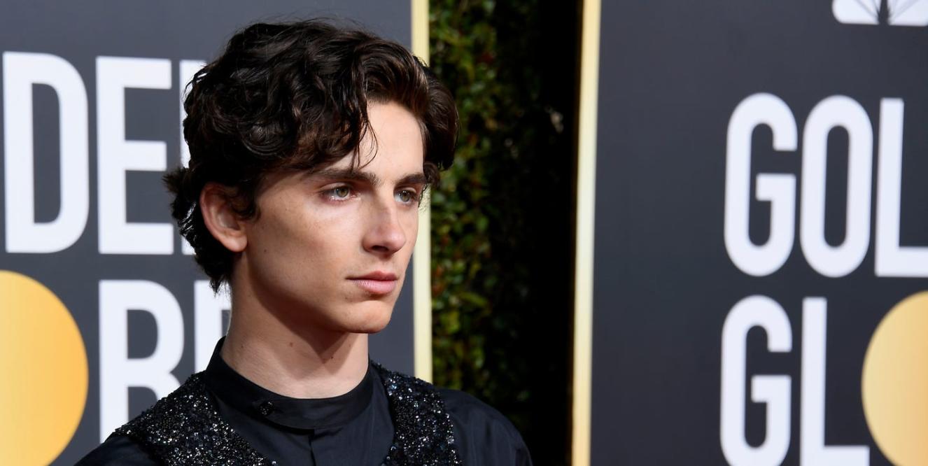 Golden Globes 2019: Timothée Chalamet Rocks a Sequin Harness