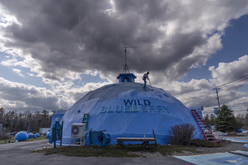 A fresh coat of paint is applied to a dome building at the Wild Blueberry Heritage Center in Columbia Falls, Maine Thursday, April 27, 2023. Blueberries and fishing are the major industries in Down East Maine. (AP Photo/Robert F. Bukaty)