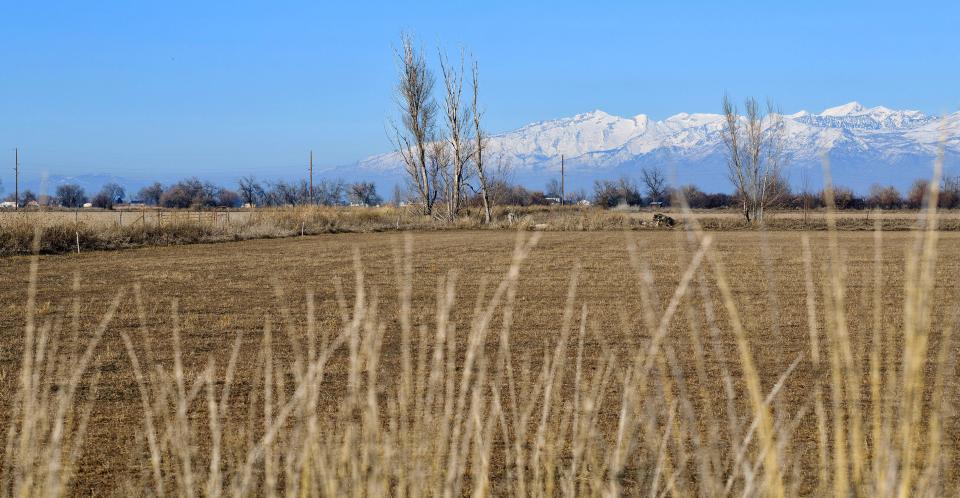 Farm fields in Utah County, near Spanish Fork, on Tuesday, Jan. 30, 2024. | Scott G Winterton, Deseret News