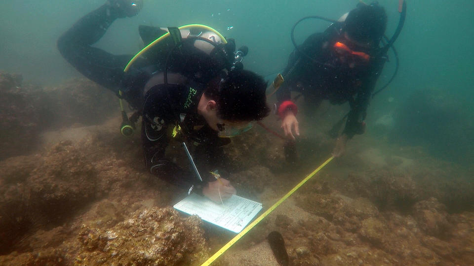 Volunteers participate in annual reef check survey of corals to obtain data on coral reef status and fish species distribution in order to understand the health of the marine habitat. Photo: Living Seas Hong Kong