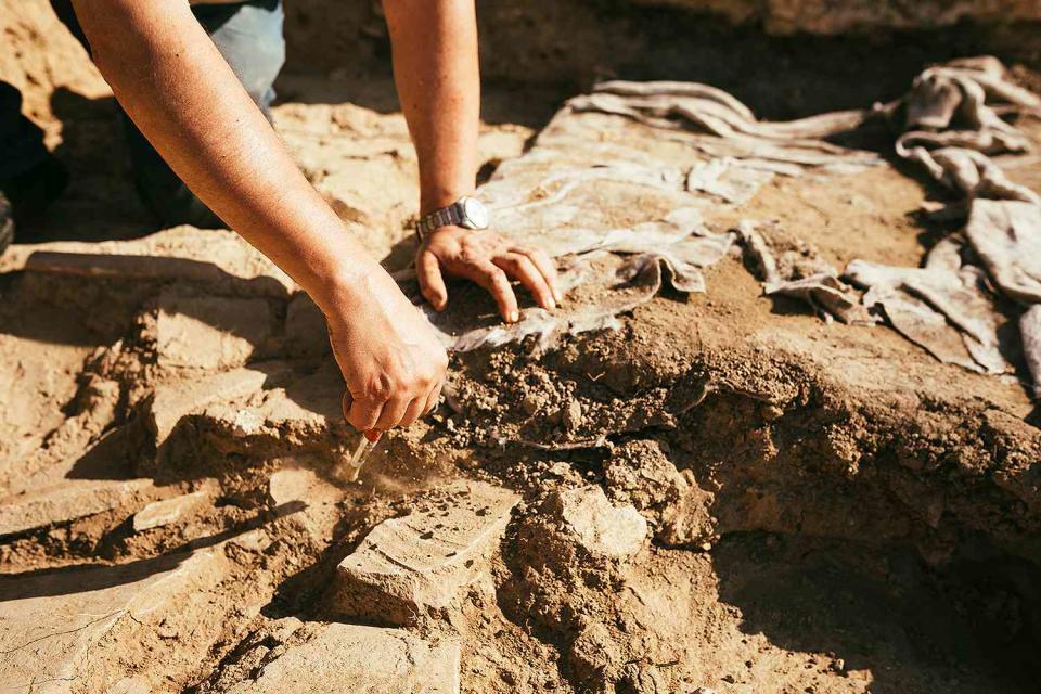 <p>Getty</p> Stock image of a man searching an archaeological site