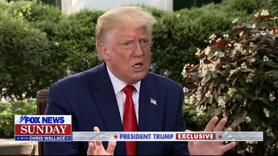 President Trump interviewed by Fox News' Chris Wallace on July 19, 2020. (Fox News via YouTube)