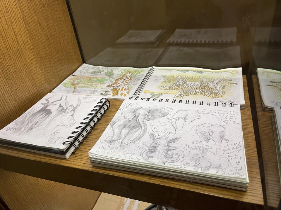 Two open sketchbooks and two pieces of paper covered in sketches of animals.