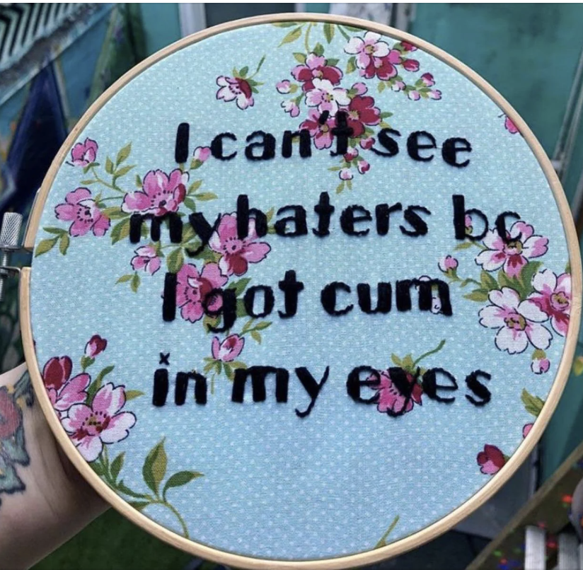 Embroidery hoop with text "I can't see my haters" and explicit content, surrounded by floral pattern