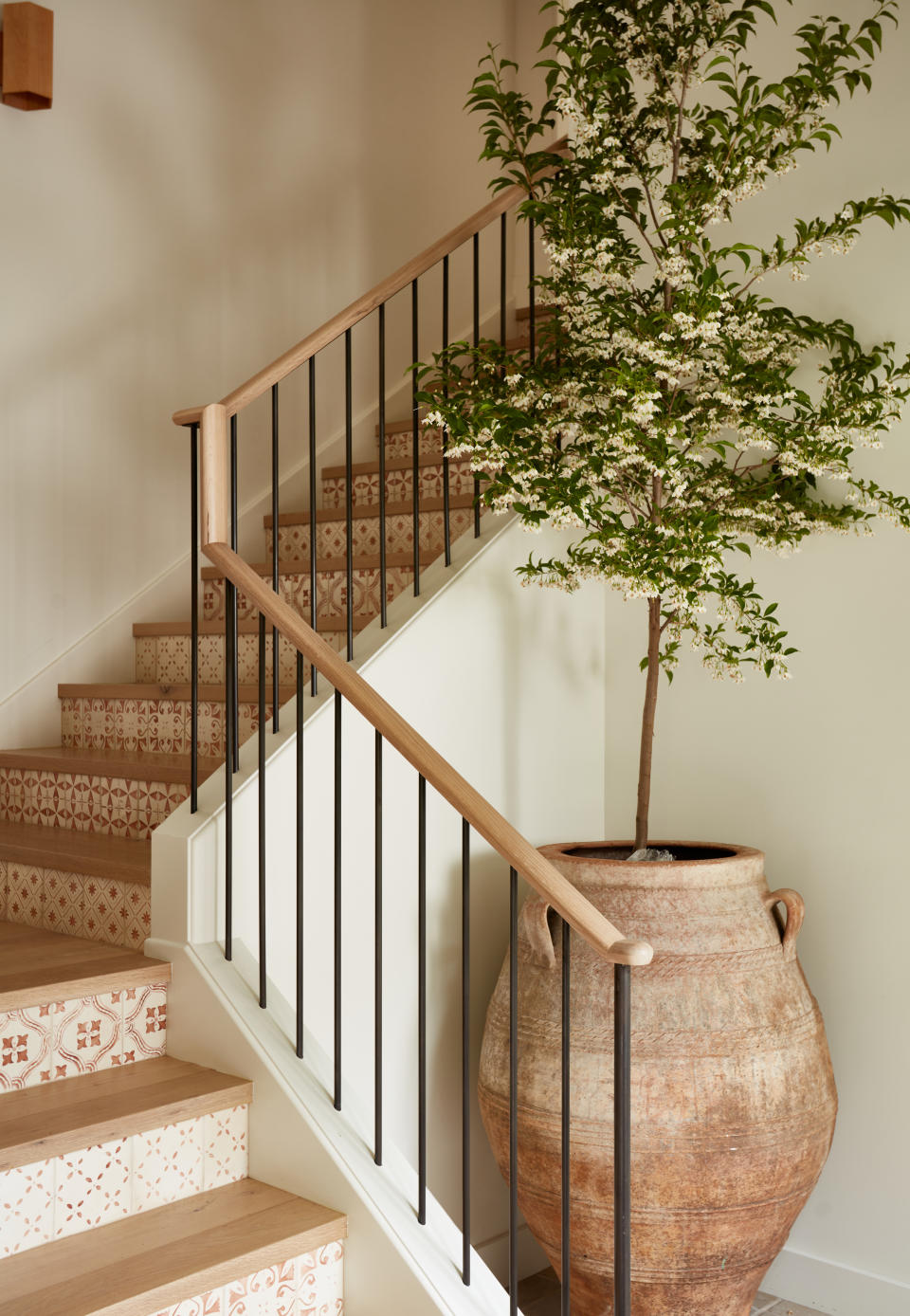 A tall tree in a large pot