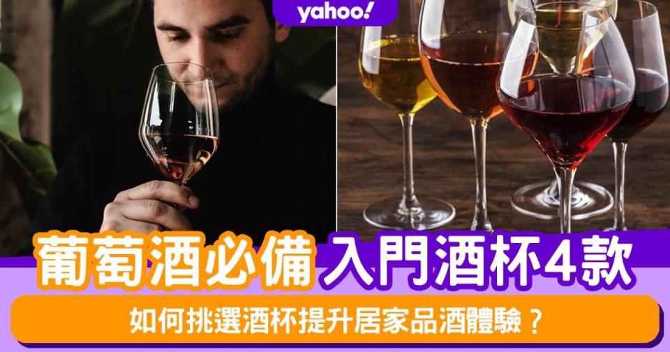 酒杯推薦│葡萄酒必備4款入門酒杯！如何挑選酒杯提升居家品酒體驗
